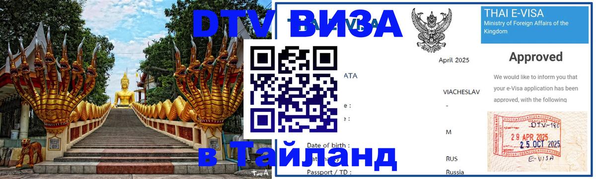 Оформление DTV визы под ключ: стоимость и тарифы, только загранпаспорт - 20.11.2025 